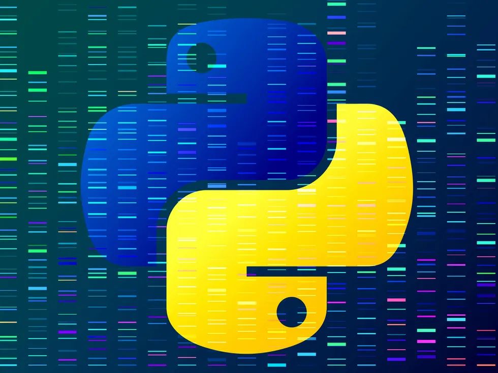 Python hacking logo